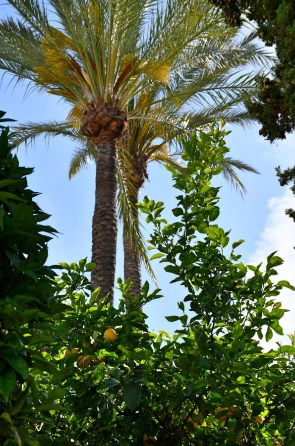 Yellow Jasper - Gemstone Getaway Marbella Exterior photo